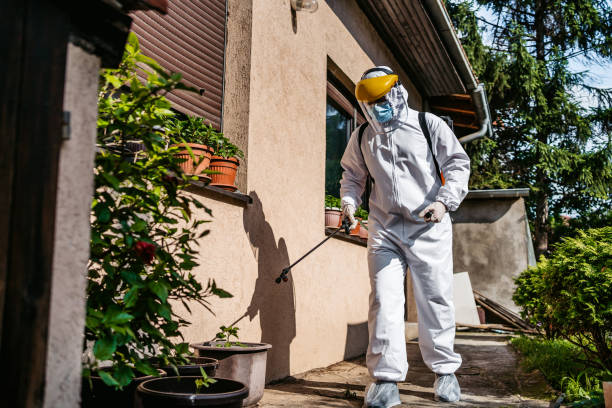 Best Pest Prevention Services  in Hoschton, GA