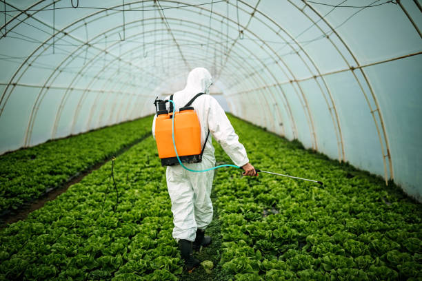 Best Mosquito Control Services  in Hoschton, GA