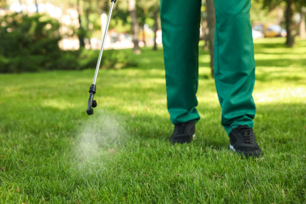 Best Cockroach Control Services  in Hoschton, GA