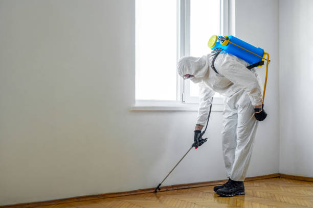 Best Commercial Pest Control Services  in Hoschton, GA