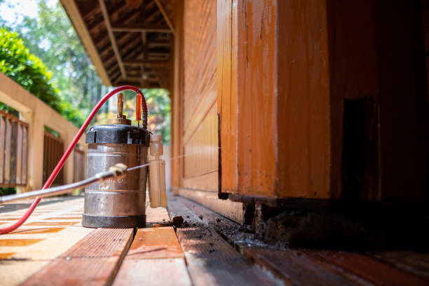 Best Termite Control Services  in Hoschton, GA