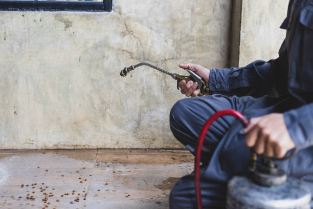 Best Flea Control Services  in Hoschton, GA