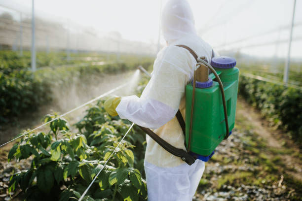 Best Local Pest Control Services  in Hoschton, GA